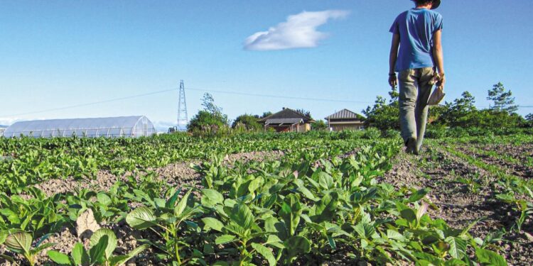 Αργολίδα: Κραυγή αγωνίας από τους νέους αγρότες