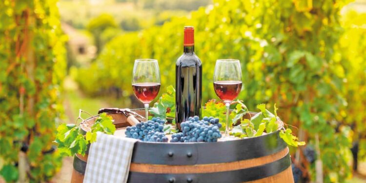 Στα 17,5 εκατ. ευρώ το πρόγραμμα για την προώθηση ελληνικών οίνων σε τρίτες χώρες έως το 2027