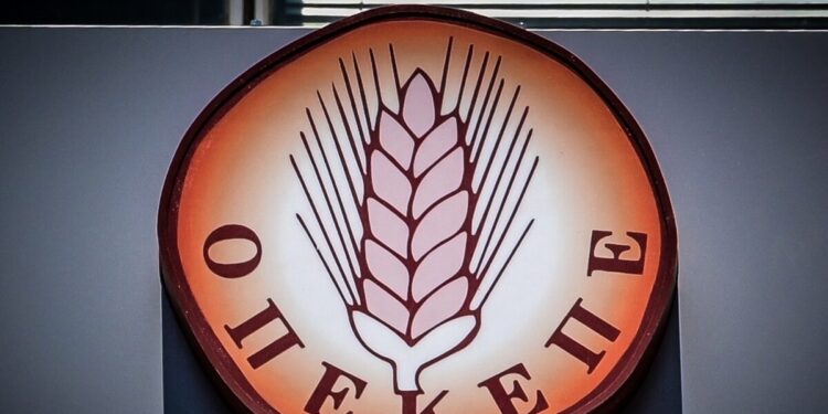 ΟΠΕΚΕΠΕ: «Λαυράκια» από την Αρχή για το ξέπλυμα μαύρου χρήματος για τις παράνομες επιδοτήσεις