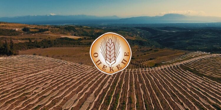 Αναρτήθηκαν οι οριστικοί πίνακες του ειδικού προγράμματος απασχόλησης 100 ανέργων στον ΟΠΕΚΕΠΕ