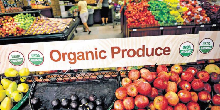 Στα 324 δισ. δολάρια η παγκόσμια ζήτηση για βιολογικά τρόφιμα έως το 2032