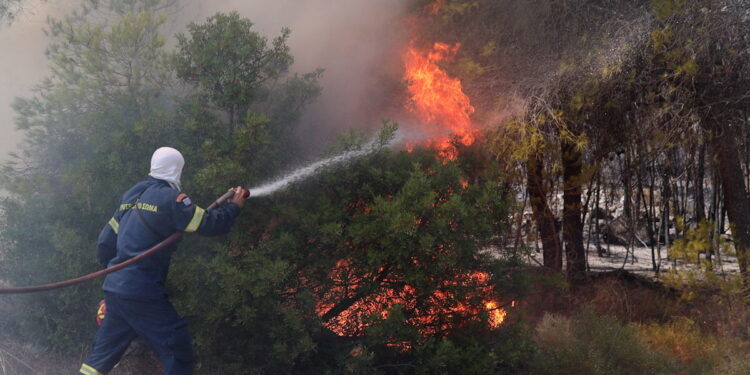 Φωτιά στην Κορινθία ανάμεσα σε Άσσο και Λέχαιο