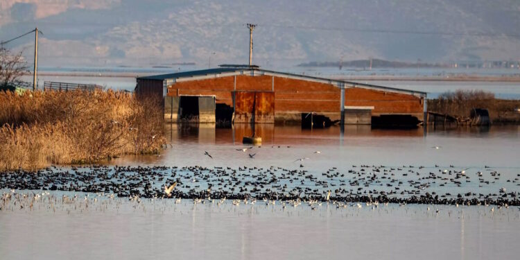 Κακοκαιρία Daniel: Άρχισαν οι αιτήσεις για την ρύθμιση των οφειλών για τους πυρόπληκτους