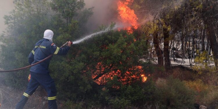 Αργολίδα: Με κάταγμα σε σπόνδυλο, γόνατο και φτέρνα ο πυροσβέστης που τραυματίστηκε κατά την κατάσβεση φωτιάς