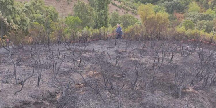 Πολλά ερωτηματικά για φωτιά στον Σκατζόκαμπο Εμπεσού – Άμεση επέμβαση της Πυροσβεστικής (φωτο)