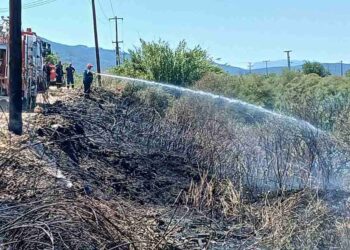 Συναγερμός για φωτιά στα γεφύρια του Αλάμπεη – Άμεση κατάσβεση από την Πυροσβεστική (φωτο)