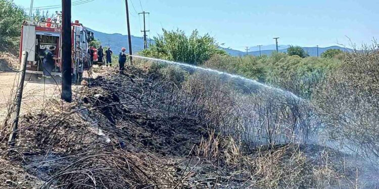 Συναγερμός για φωτιά στα γεφύρια του Αλάμπεη – Άμεση κατάσβεση από την Πυροσβεστική (φωτο)