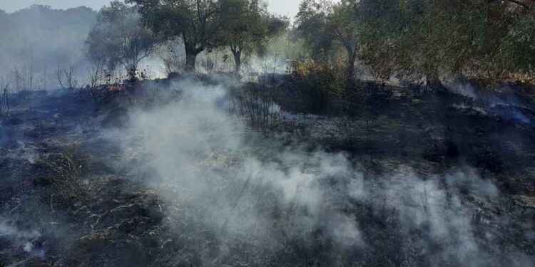 Συνελήφθη οδηγός φορτηγού για τη φωτιά στη Γουριώτισσα Αγρινίου