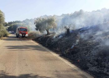 Μεγάλη πυρκαγιά στην Πάλαιρο – Διακόπηκε η κυκλοφορία από Βόνιτσα