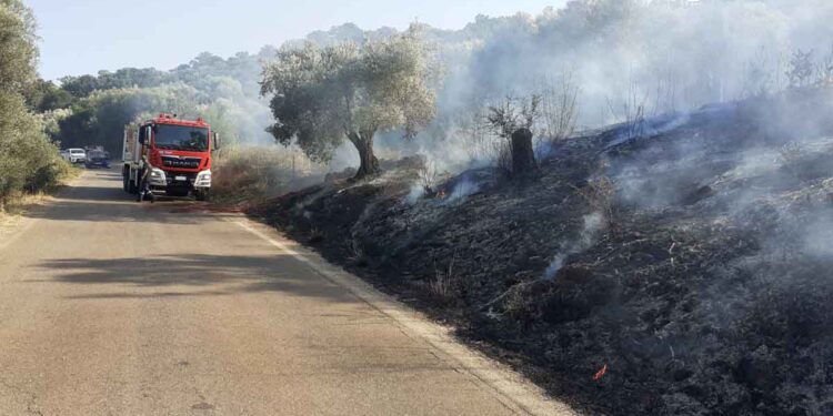 Μεγάλη πυρκαγιά στην Πάλαιρο – Διακόπηκε η κυκλοφορία από Βόνιτσα