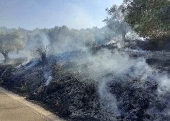 Δήμος Ξηρομέρου: Ενημέρωση πληγέντων από τις πυρκαγιές