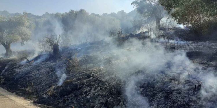 Δήμος Ξηρομέρου: Ενημέρωση πληγέντων από τις πυρκαγιές