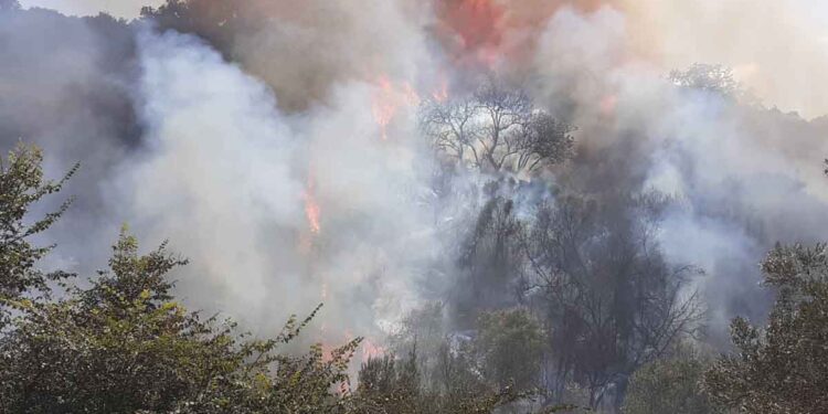 Επικίνδυνη φωτιά στη Γουριώτισσα ξεκίνησε από την Ιόνια Οδό – Ζημιές σε αποθήκες και μηχανήματα