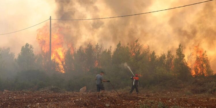 Νέα φωτιά στο Αιτωλικό – Φόβοι για εξάπλωση λόγω ισχυρών ανέμων