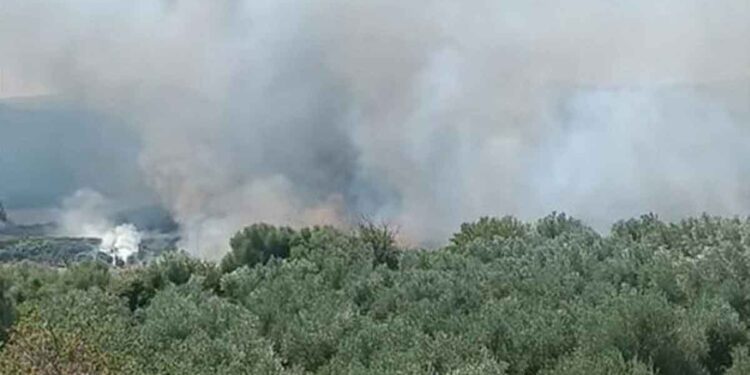 Φωτιά στη Σταμνά – Μήνυμα για εκκένωση και μεγάλη κινητοποίηση της Πυροσβεστικής