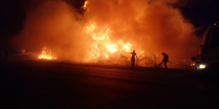 Συγκλονιστικές εικόνες από κτηνοτρόφους και Εθελοντές στις Φλόγες της Αροανίας Καλαβρύτων