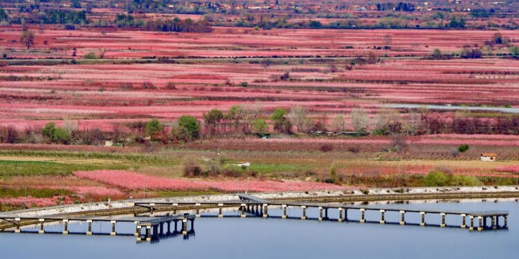 Ψηφιακό «ταξίδι» στις Ανθισμένες Διαδρομές της Ελλάδας
