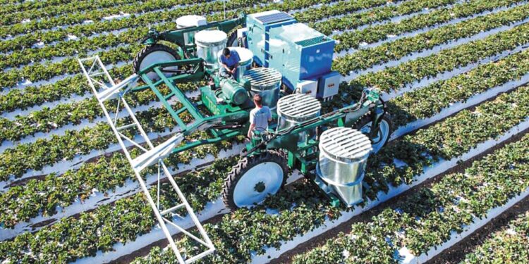 TRIC Robotics: Επαναστατική φυτοπροστασία χωρίς χημικά στην καλλιέργεια φράουλας