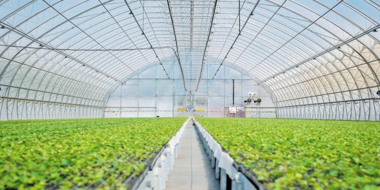 Παράταση προθεσμίας υποβολής αιτήσεων στις προσκλήσεις για θερμοκήπια και μεταποίηση