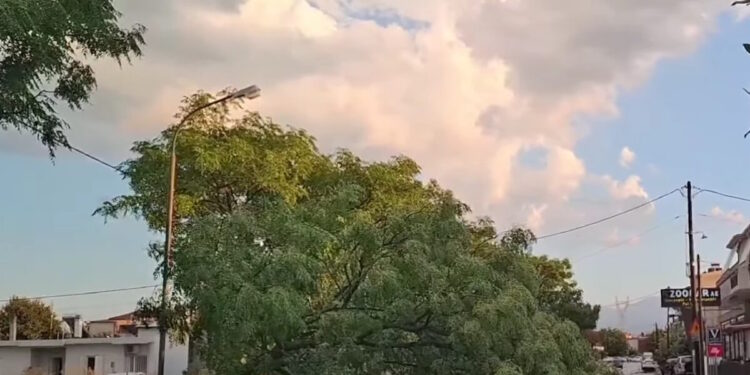 Καιρός – Τρίκαλα: Ισχυρό μπουρίνι έριξε δέντρα και μετέτρεψε τους δρόμους σε ποτάμια