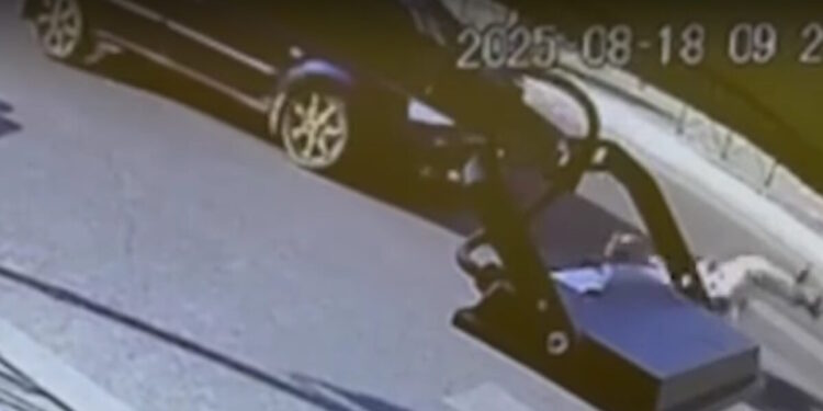 Βίντεο από τροχαίο στα Χανιά στην περιοχή του Πλατανιά – Αυτοκίνητο «πέταξε» πεζό μέτρα μακριά