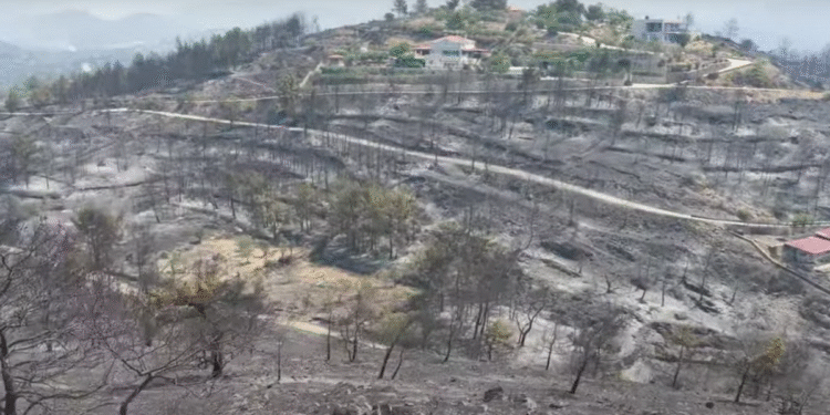 Φωτιά στην Χίο: «Μαύρες» εικόνες αποκαλύπτουν το μέγεθος της καταστροφής στο νησί