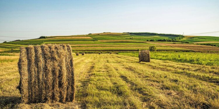 Σε λειτουργία η πλατφόρμα για μεταβιβάσεις δικαιωμάτων ενίσχυσης 2025 – Έως 12 Σεπτεμβρίου οι αιτήσεις
