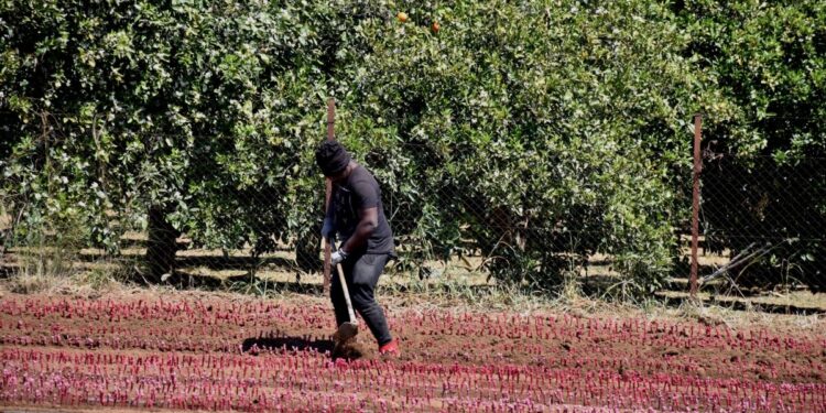 «Καμπάνα» σε φορέα πιστοποίησης βιολογικών προϊόντων: 6μηνη αναστολή για μη τήρηση των κανονισμών