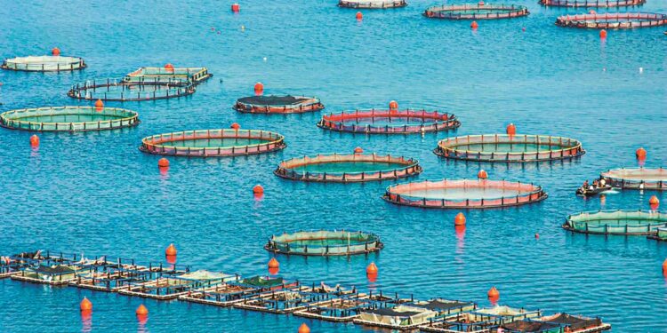 Η Κομισιόν απλουστεύει τη συλλογή στατιστικών για την αλιεία και την υδατοκαλλιέργεια