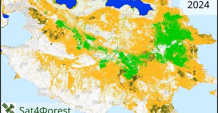Την υγεία όλων των ελληνικών δασών χαρτογραφούν επιστήμονες στο ΑΠΘ