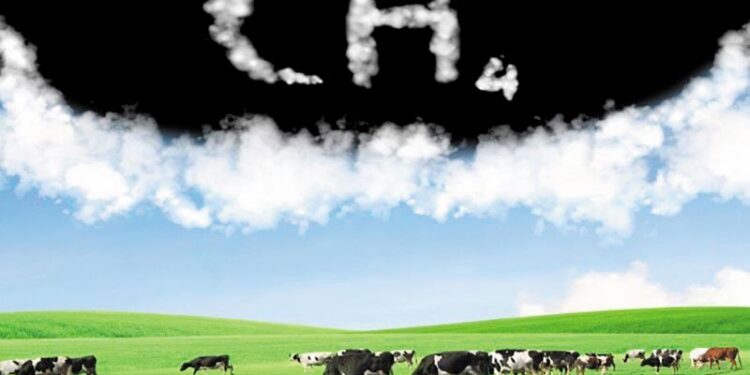 Time2Graze: Μείωση των εκπομπών μεθανίου μέσω δορυφορικών δεδομένων