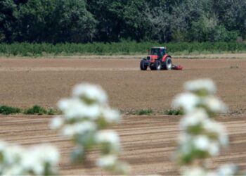 Αναγγελία ζημιών από τον ΕΛΓΑ και για κοινότητες του Δήμου Ξηρομέρου