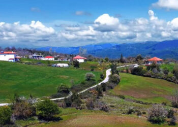 Σύλλογος Εθελοντισμού και Πολιτισμού Ανοιξιάτικου «Η Άνοιξη»: Δεν θα συμμετέχει στις εκδηλώσεις του Δήμου Αμφιλοχίας προς τιμήν του Γεωργίου Καραϊσκάκη