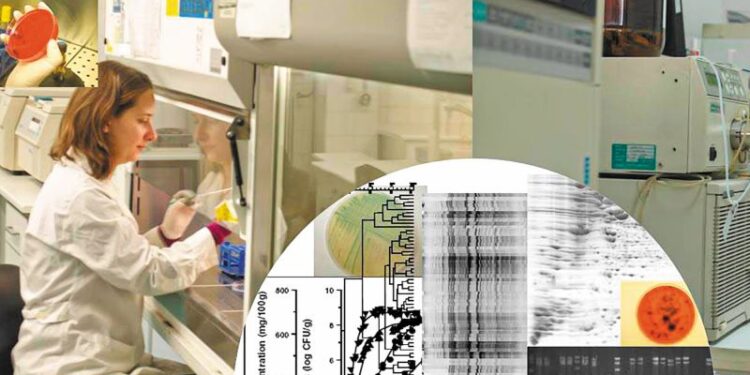 Γεωπονικό Πανεπιστήμιο Αθηνών: Η υγιεινή και η ασφάλεια τροφίμων «περνούν» από την εκπαίδευση