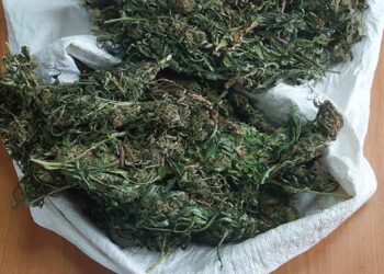 Αγρίνιο: Πήγε με μοτοσικλέτα σε εγκαταλελειμμένη αποθήκη για διακίνηση ναρκωτικών και συνελήφθη