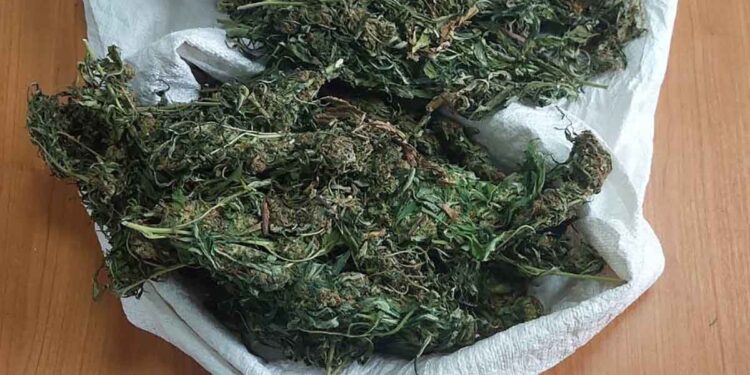 Αγρίνιο: Πήγε με μοτοσικλέτα σε εγκαταλελειμμένη αποθήκη για διακίνηση ναρκωτικών και συνελήφθη