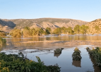 Ρύθμιση 72 δόσεων και για τις ασφαλιστικές υποχρεώσεις των πληγέντων από τον Daniel