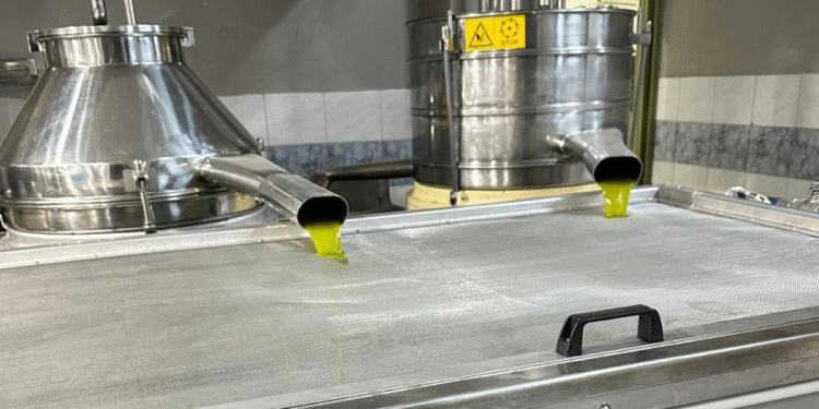 ΑΑΔΕ: Στα 1.524 ευρώ/τόνο η τιμή του ελαιολάδου λαμπάντε για την εισφορά δακοκτονίας