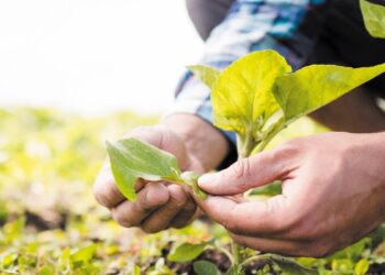 EU Cap Network: Παραδείγματα βιοποικιλότητας που ξεκινούν από τους ίδιους τους αγρότες