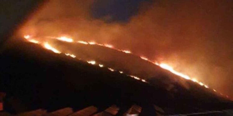 Πυρκαγιά στην Καλλιθέα Τριχωνίδας – Επιχείρησαν εναέρια μέσα (φωτο)