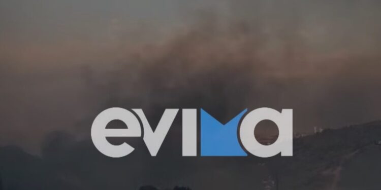 Φωτιά στην Εύβοια στο Βατήσι Καρύστου – Μάχη με τις φλόγες και τον άνεμο δίνουν οι πυροσβέστες