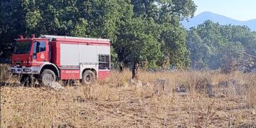 Φωτιά στον αρχαιολογικό χώρο των Οινιάδων