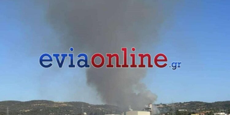Φωτιά στην Εύβοια στην περιοχή Μηλάκι κοντά σε εργοστάσιο