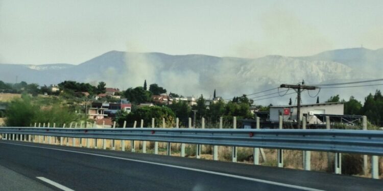 Φωτιά στα Οινόφυτα – Πυροσβεστικές δυνάμεις στο σημείο
