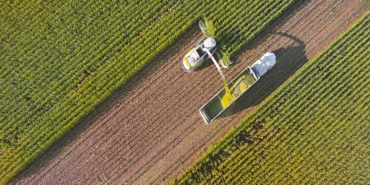 Πιέσεις στις τιμές των αμερικανικών σιτηρών μετά τη συνομιλία Τραμπ – Σι