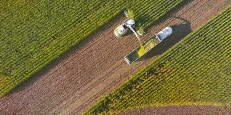 Πιέσεις στις τιμές των αμερικανικών σιτηρών μετά τη συνομιλία Τραμπ-Σι