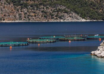 Αστακός: Εργαζόμενες τραυματίστηκαν σε εργατικό ατύχημα σε μονάδα ιχθυοκαλλιέργειας