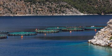 Αστακός: Εργαζόμενες τραυματίστηκαν σε εργατικό ατύχημα σε μονάδα ιχθυοκαλλιέργειας