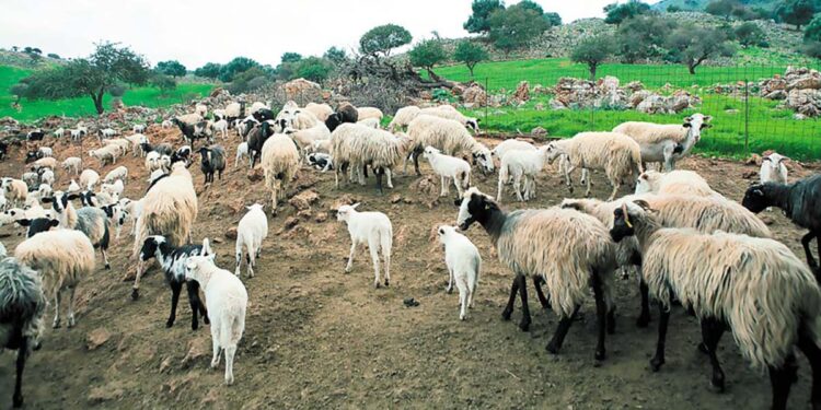 Ύποπτα κρούσματα ευλογιάς σε Ευηνοχώρι και Γαλατά