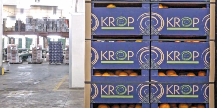 Νοικοκύρεμα-εξπρές για την KROP